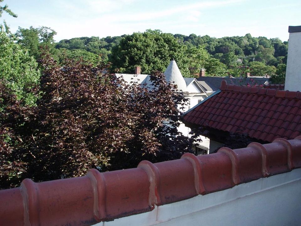 View from deck