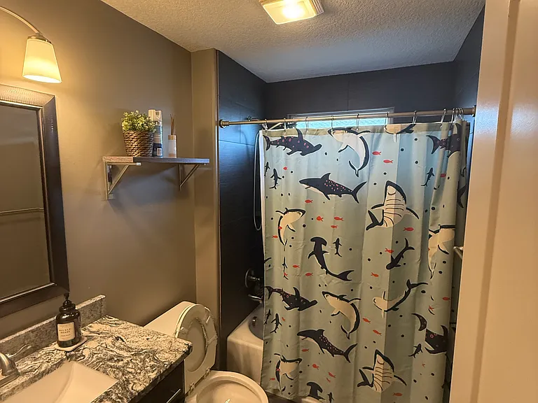 921 Silver Rain Rd — Photo 23