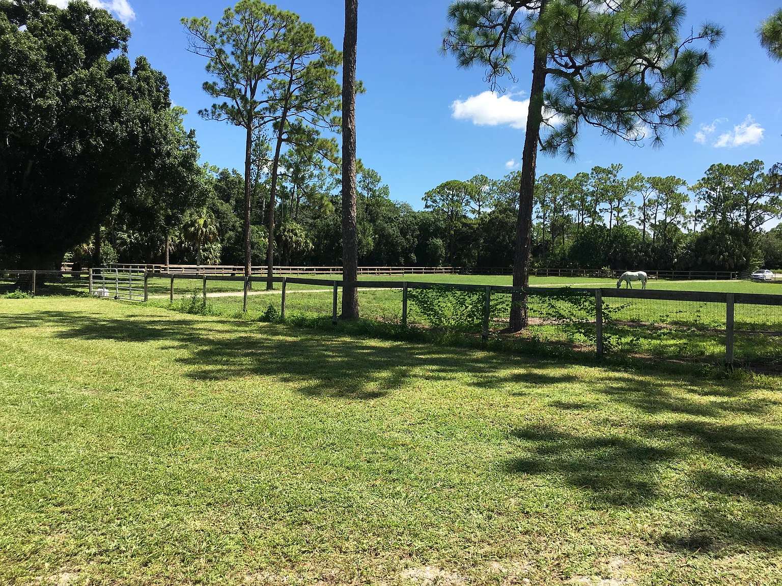 4 bed, $5,000 — Photo 2