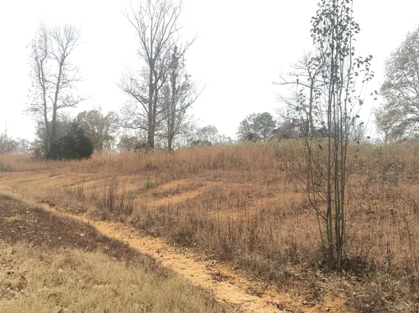 0 Beckham Ln, Adamsville, TN 38310