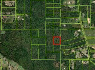 S Goodman Rd, Kissimmee, FL 34747