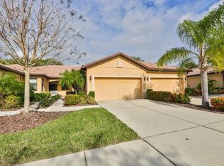 205 Shell Falls Dr, Apollo Beach, FL 33572