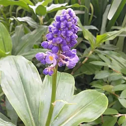 Rented by Highline Residential