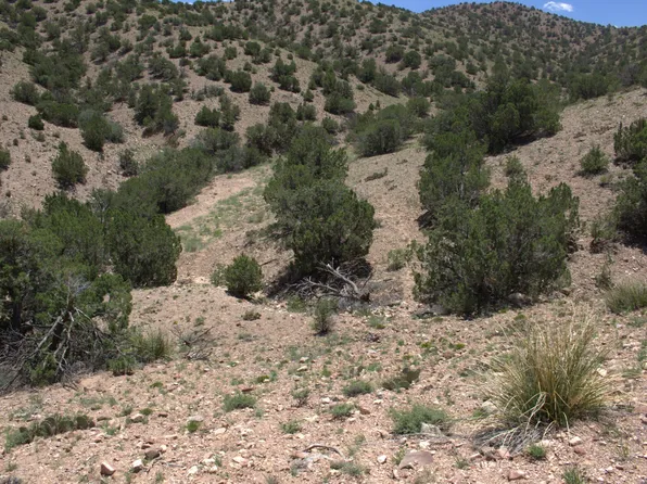 Tres Amigos Rd, Placitas, NM 87043