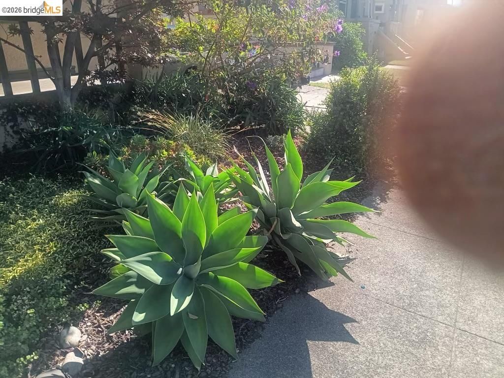 915 39th St, Oakland, CA - View 6