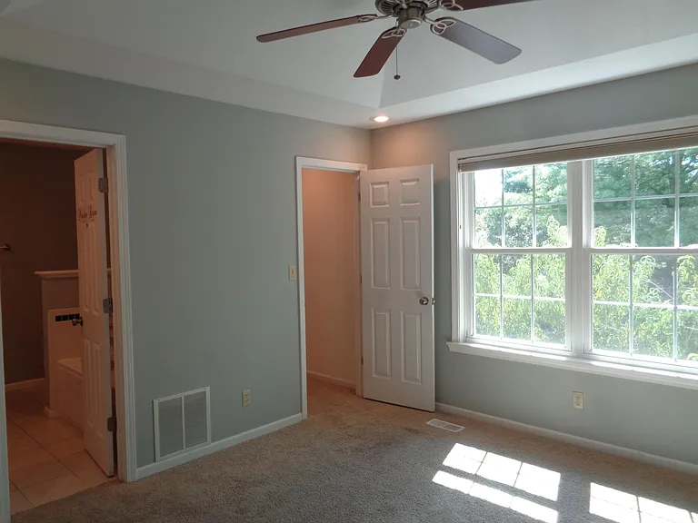 3801 Blue Cedar Ln — Photo 10
