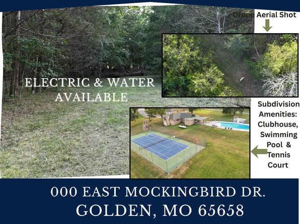 000 East Mockingbird Drive, Golden, MO 65658