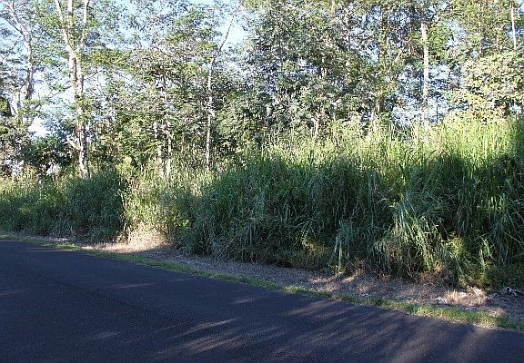 4th image of Mohala St Lot 34