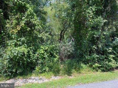 1352 Fishing Creek Rd, Annapolis, MD, 21403