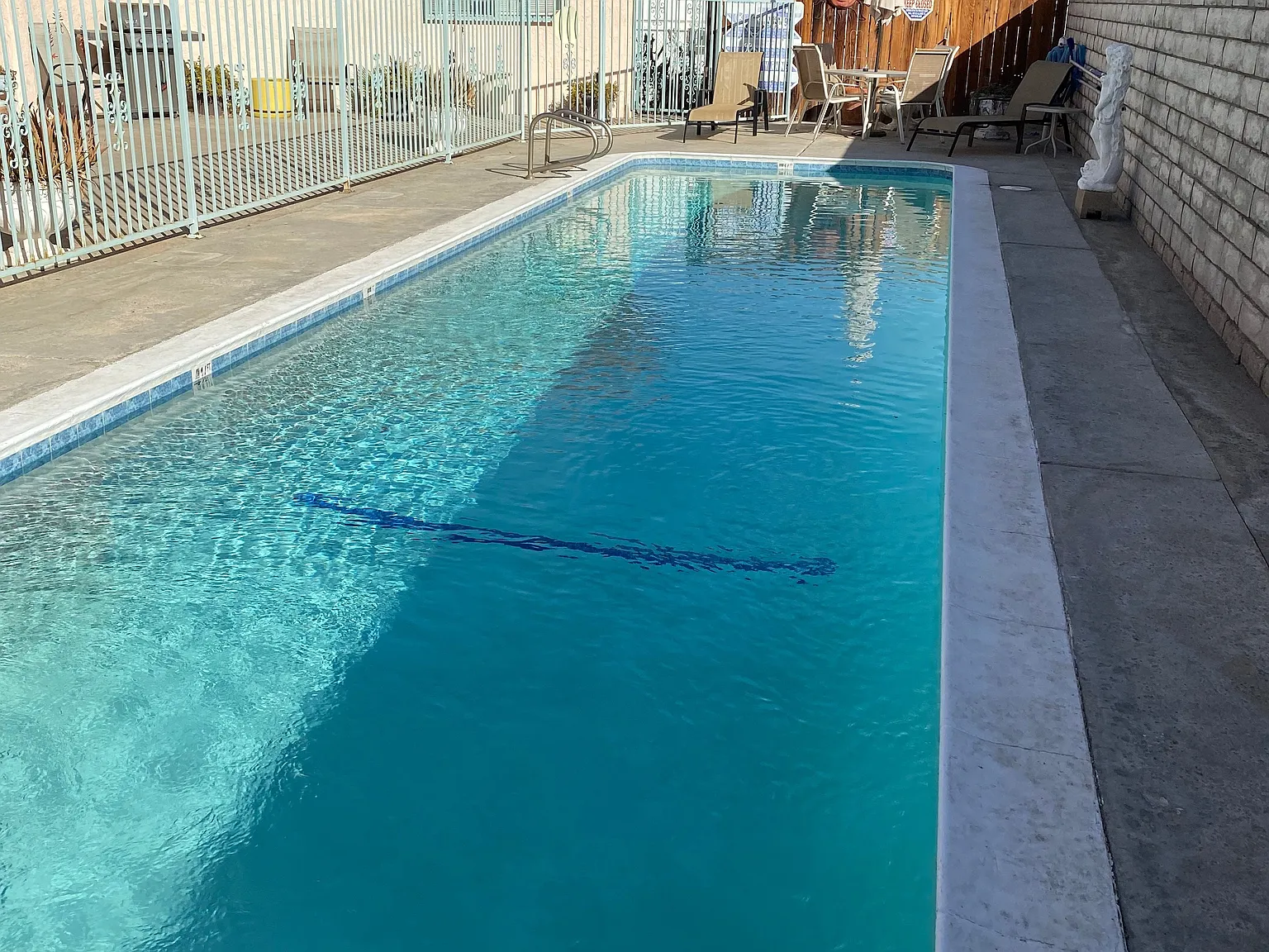1 bed, 900 sqft, $1,795 — Photo 4