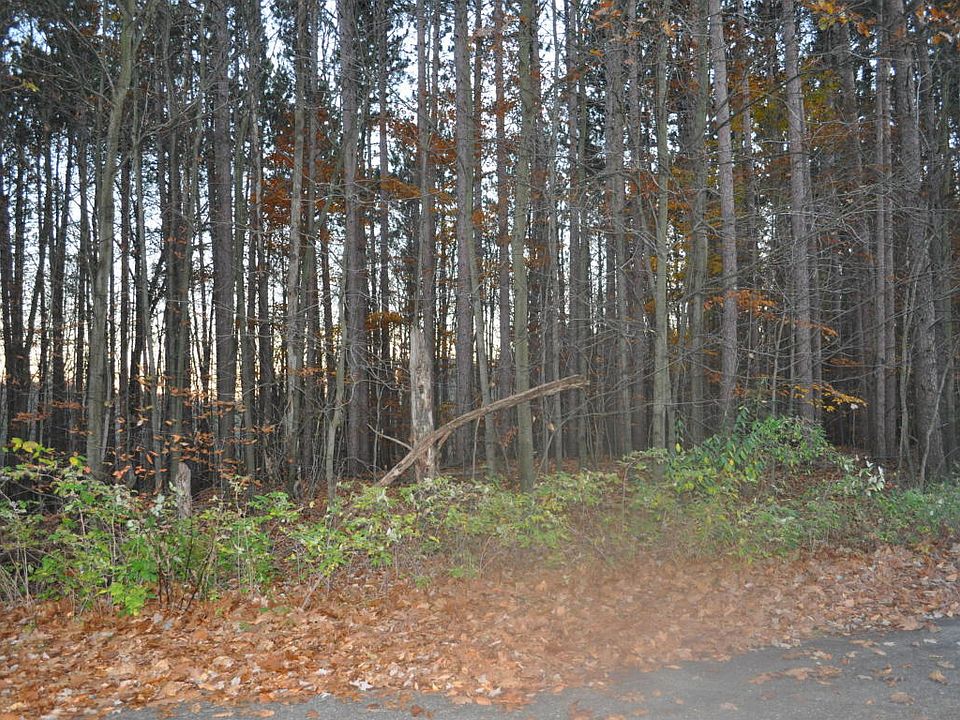 2nd image of 13378 Windy Craig Dr NE