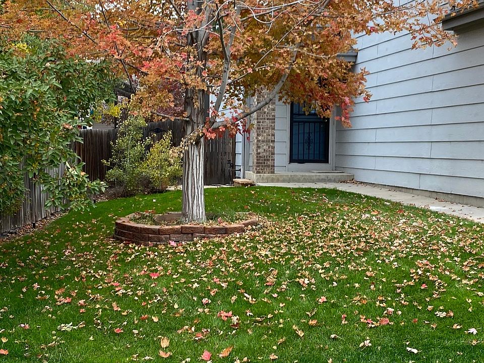 Front yard