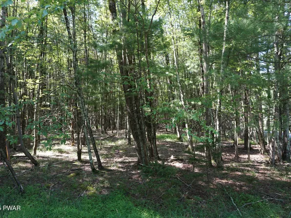 (undisclosed Address), Milford, PA 18337