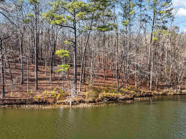 5 Big Y Cove Loop, Rockford, AL 35136