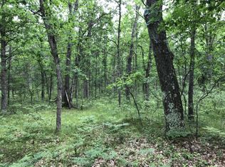 N Irons Rd, Irons, MI 49644