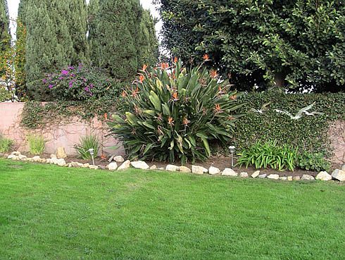 Beautiful Landscaping