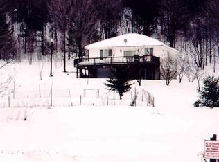 308 McCarthy Rd, Schenevus, NY 12155