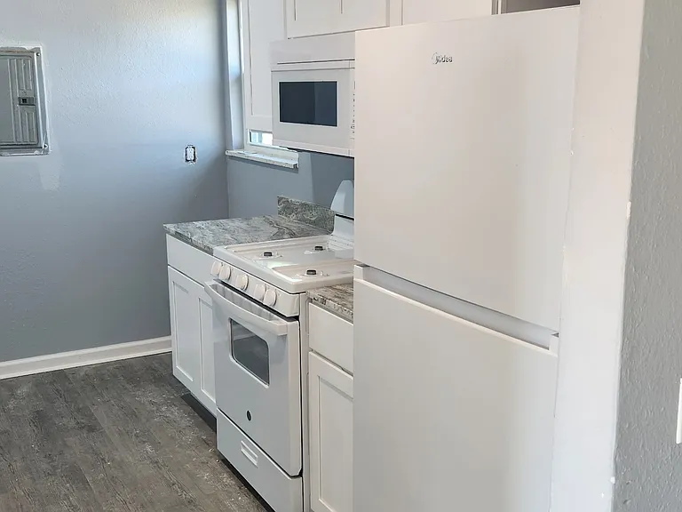 219 Leon St #6 — Photo 3
