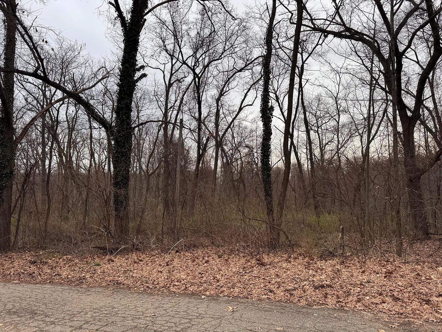 Lakeview Dr photo 1