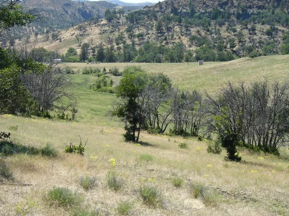 Just Off Camp Ck Rd, Hornbrook, CA 96044