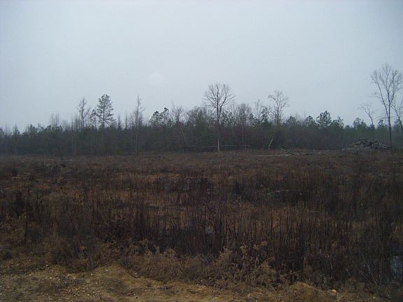 3rd image of 40 Acre Tract