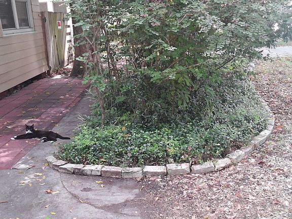 4th image of 2314 Cheshire Dr