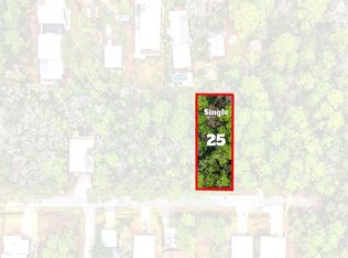 25 E Wild Blueberry Way Lot 25, Pt Washington, FL 32459