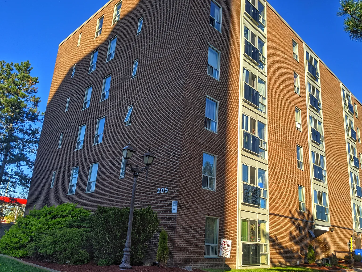Vodden Apartments - 205 Vodden Street East — Photo 4