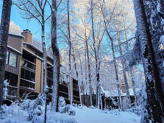 2nd image of 1235 Ski Mountain Rd APT 610
