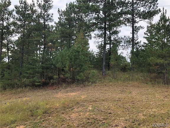 2nd image of 0 Hallman Lakes Dr