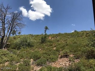 6370 Old Forest Trl, Show Low, AZ 85901