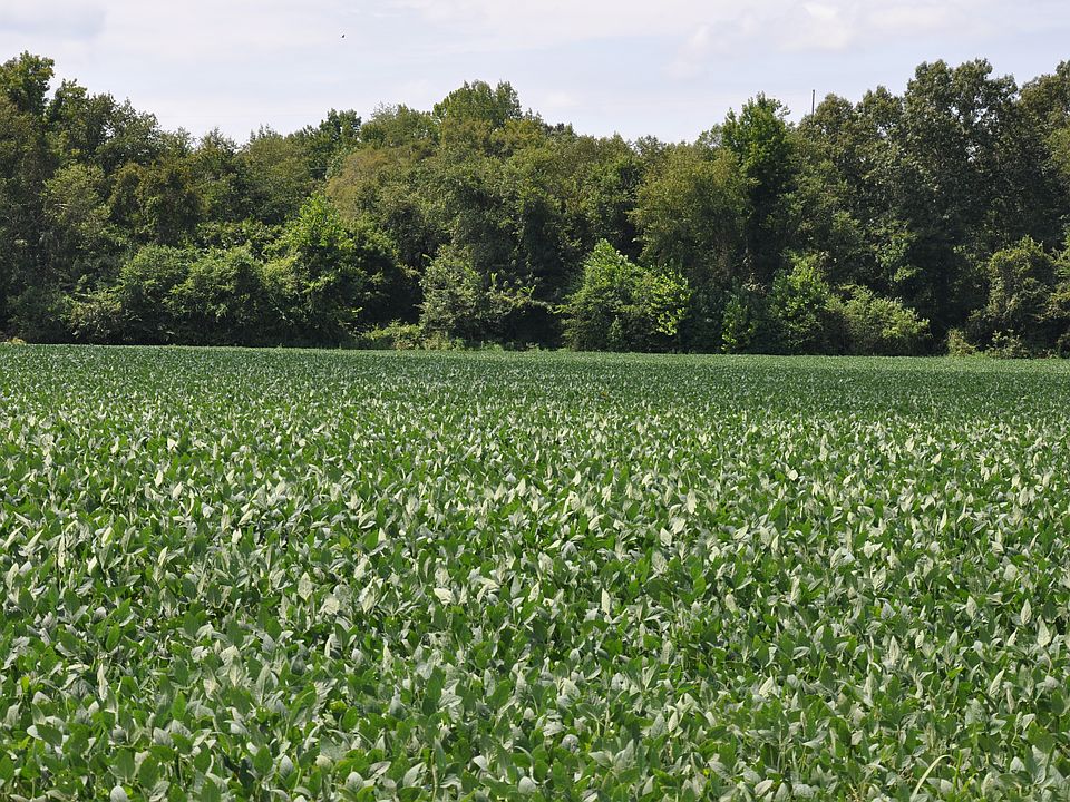 2nd image of 3051 Highway 76