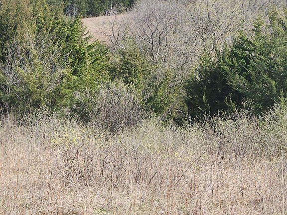 5th image of 0 Blue Ridge Rd