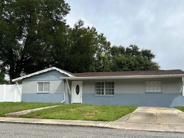 4926 Billy Direct Ln, Lutz, FL 33559