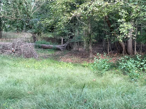0 River Rd, Piedmont, MO 63957