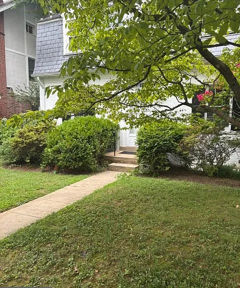 4307 Brandywine St NW — Photo 3