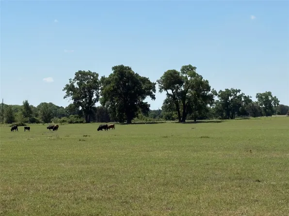 2966 Highway 679, Gorman, TX 76454