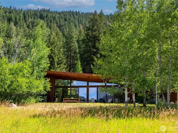 63 Chechaquo Ranch Road, Mazama, WA 98833