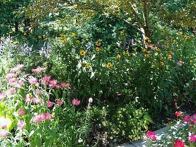 View of garden from Four Season Room