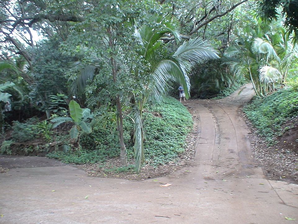 Entrance off Wawae Place