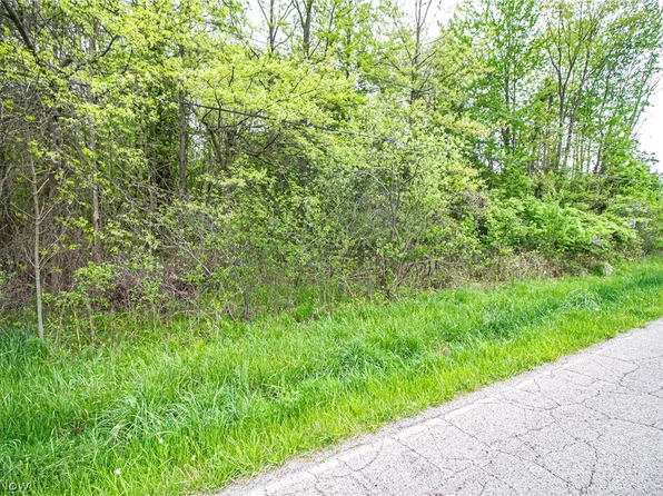 0 McGuffey Rd, Lowellville, OH 44436