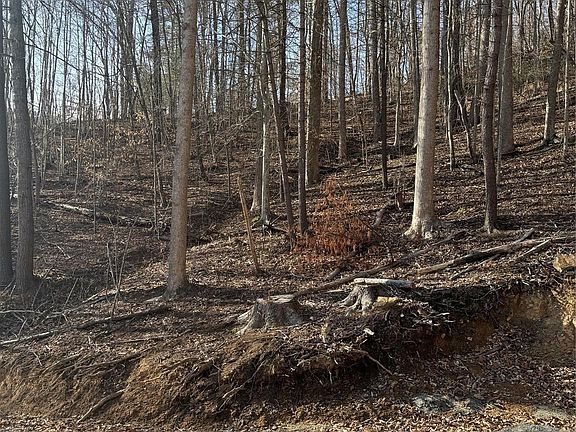 5th image of 890 Fisher Branch Rd