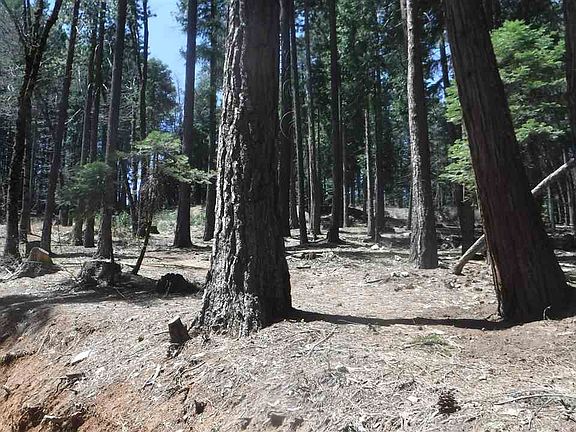 5th image of 2273 Buckhorn Trl
