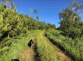 11775 Bear Mountain Dr, Custer, SD 57730