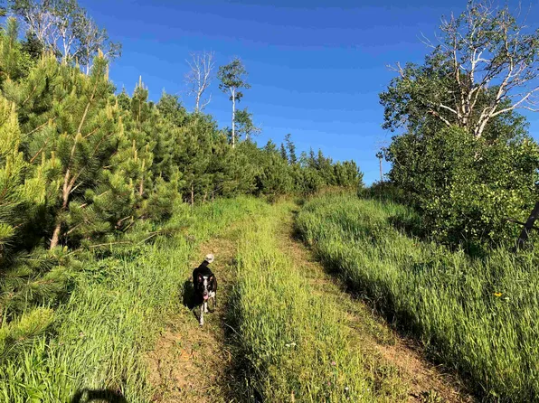 11775 Bear Mountain Dr, Custer, SD 57730