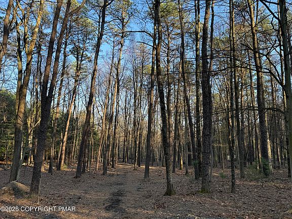 5th image of Twin Pine Rd #2