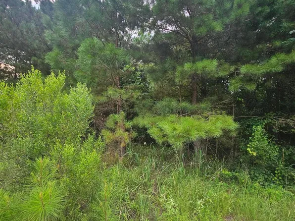 11 Highland Shores Dr, Jasper, AL 35503