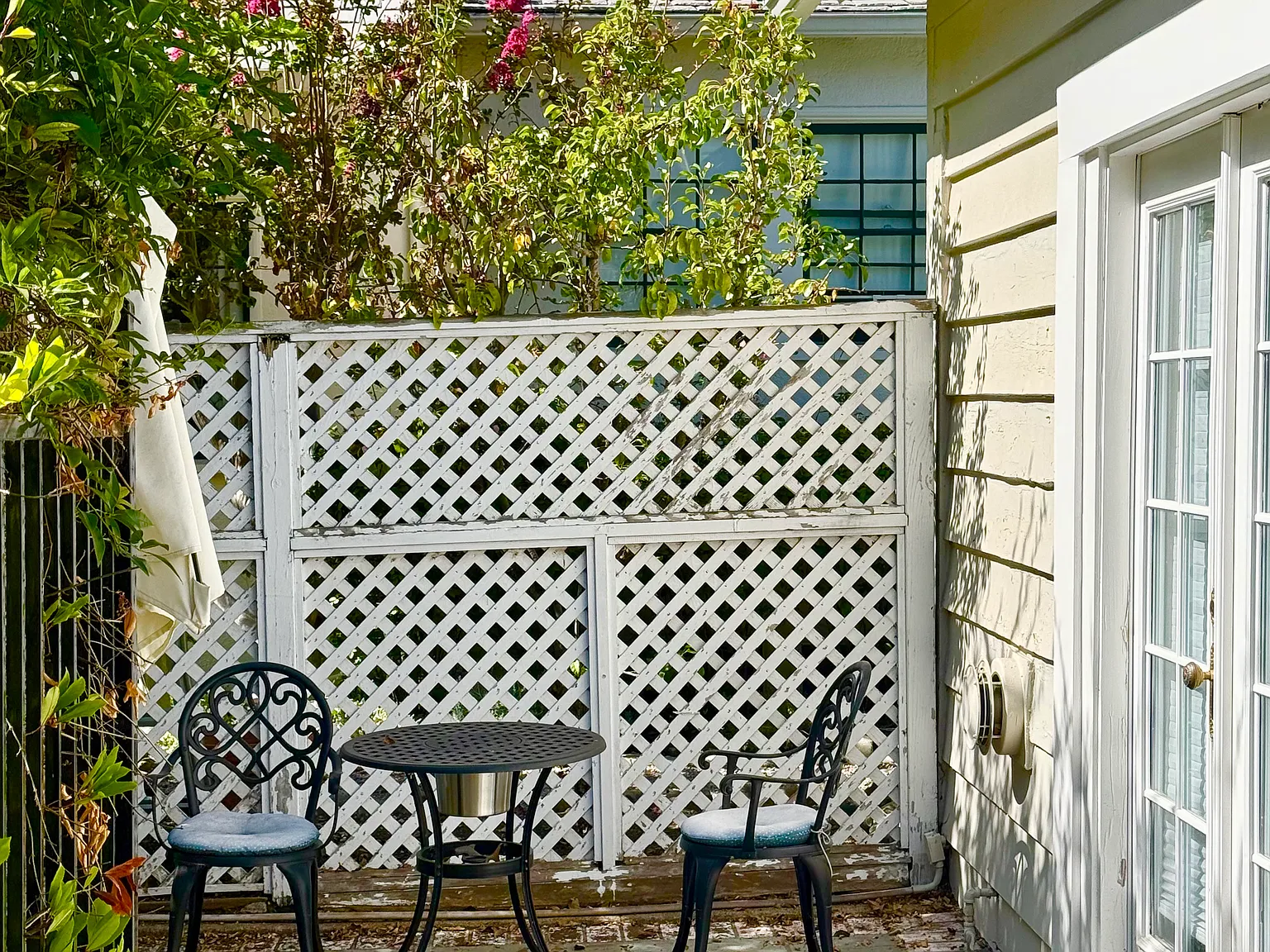 1 bed, 450 sqft, $3,000 — Photo 3