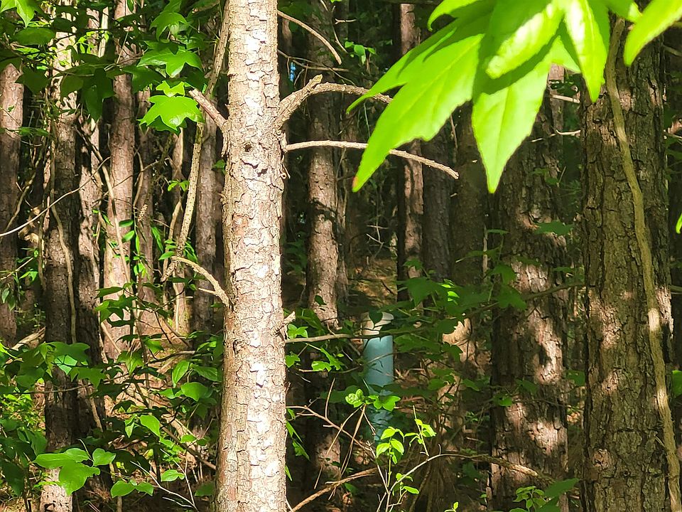 2nd image of 7134 Browns Mill Rd