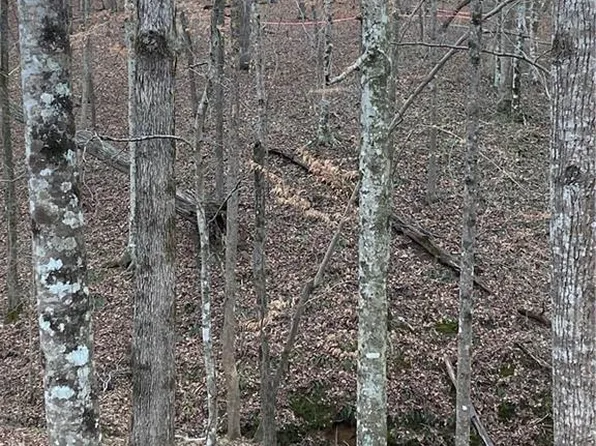3089 Chattahoochee Trce Lot 37, Gainesville, GA 30506